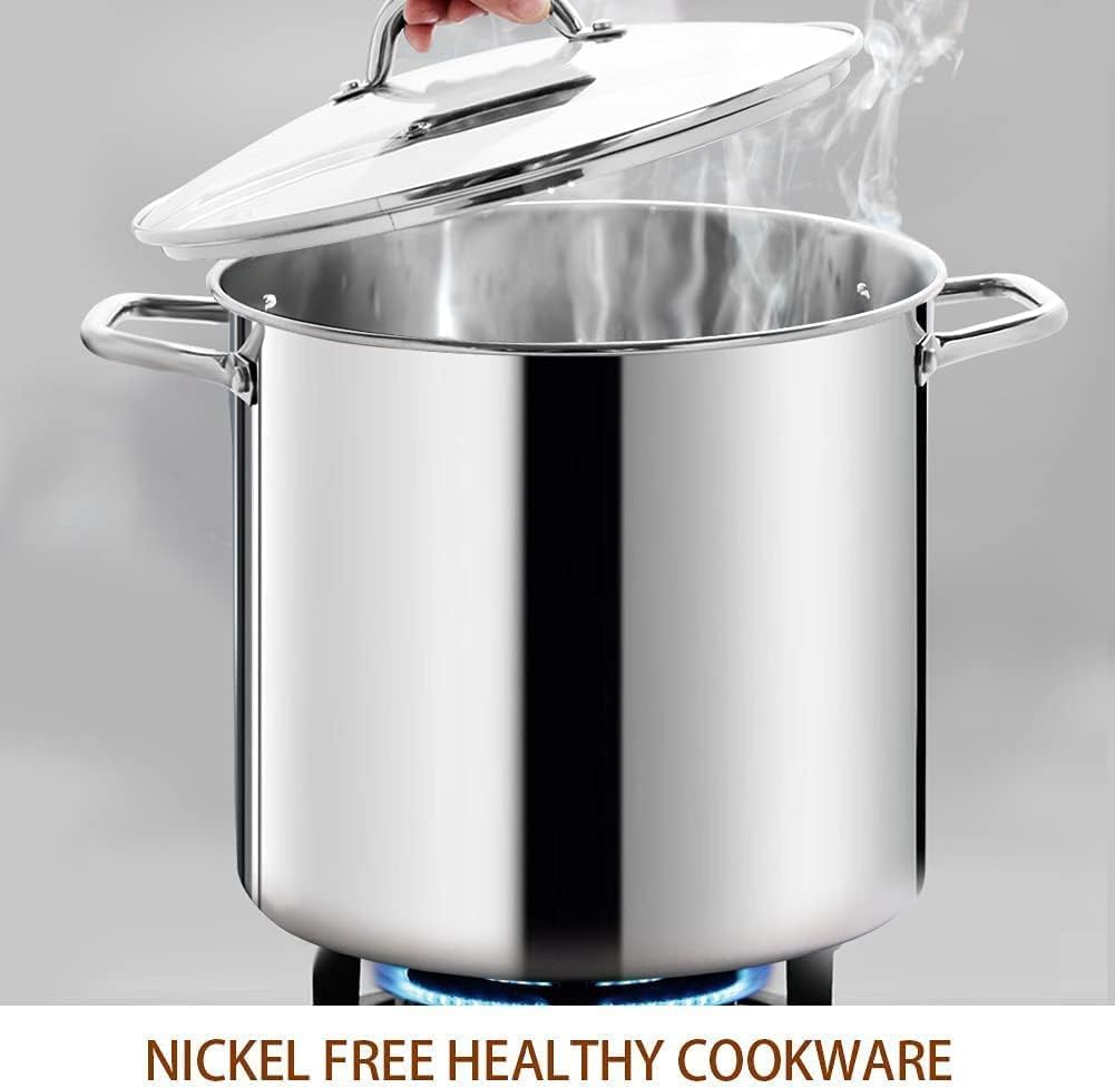 Large 16-Quart Stock Pot with Glass Lid