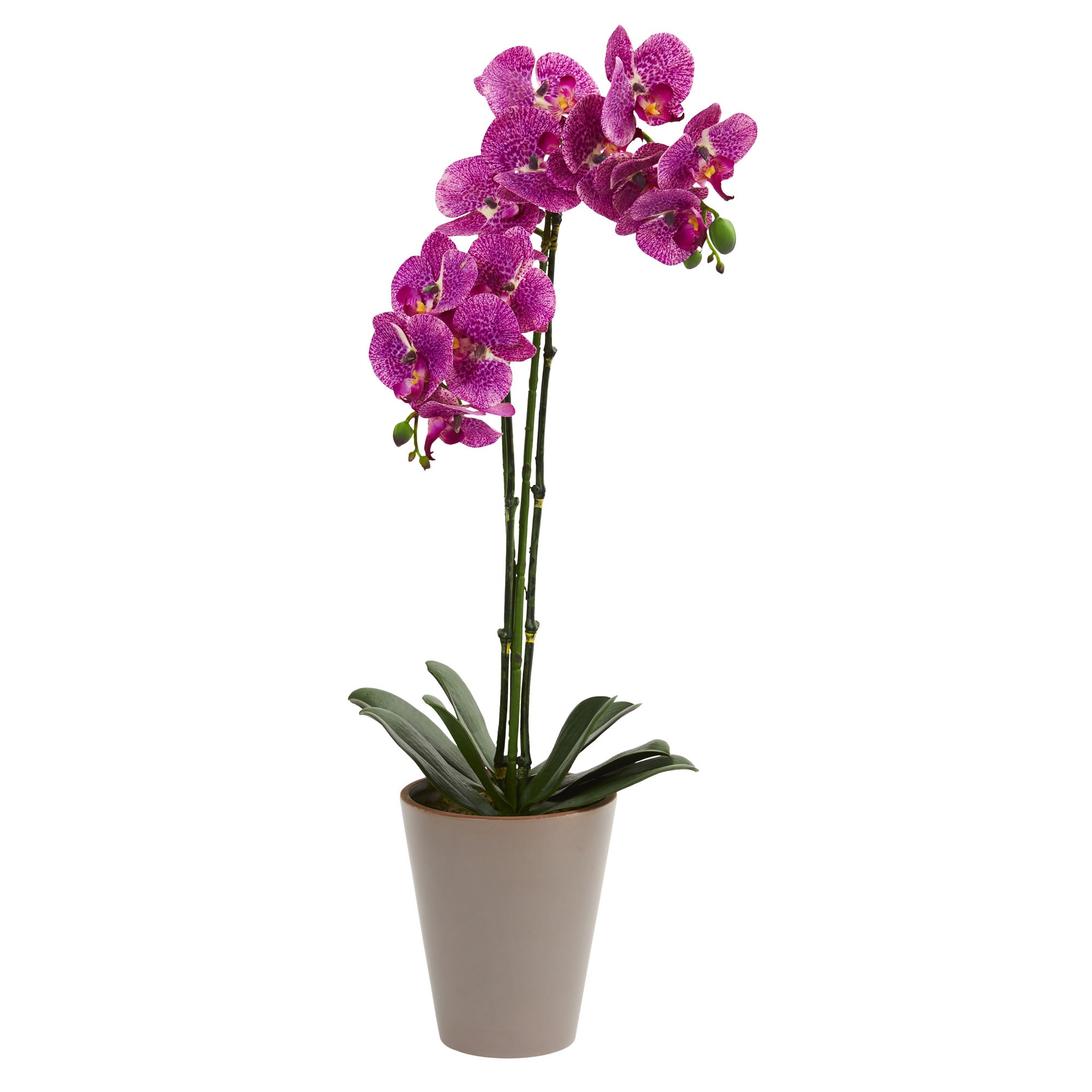 24" Speckled Phalaenopsis Orchid Artificial Arrangement