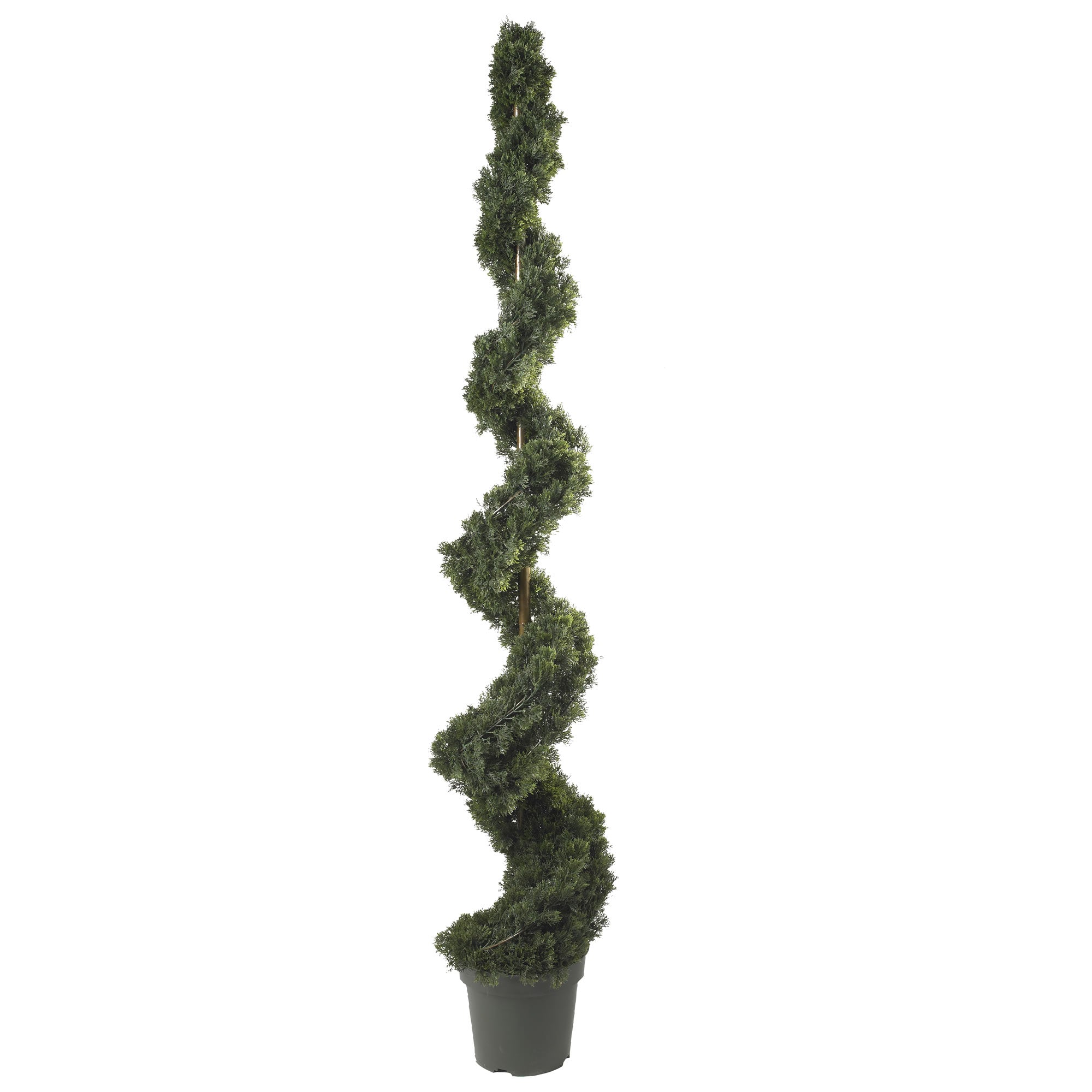 6' Cedar Spiral Silk Tree (Indoor/Outdoor)