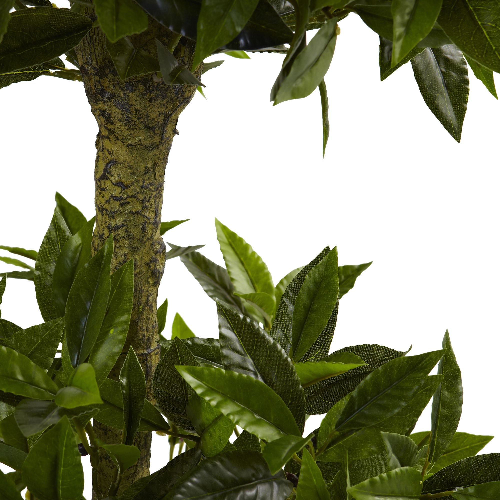 5' Triple Bay Leaf Topiary UV Resistant (Indoor/Outdoor)