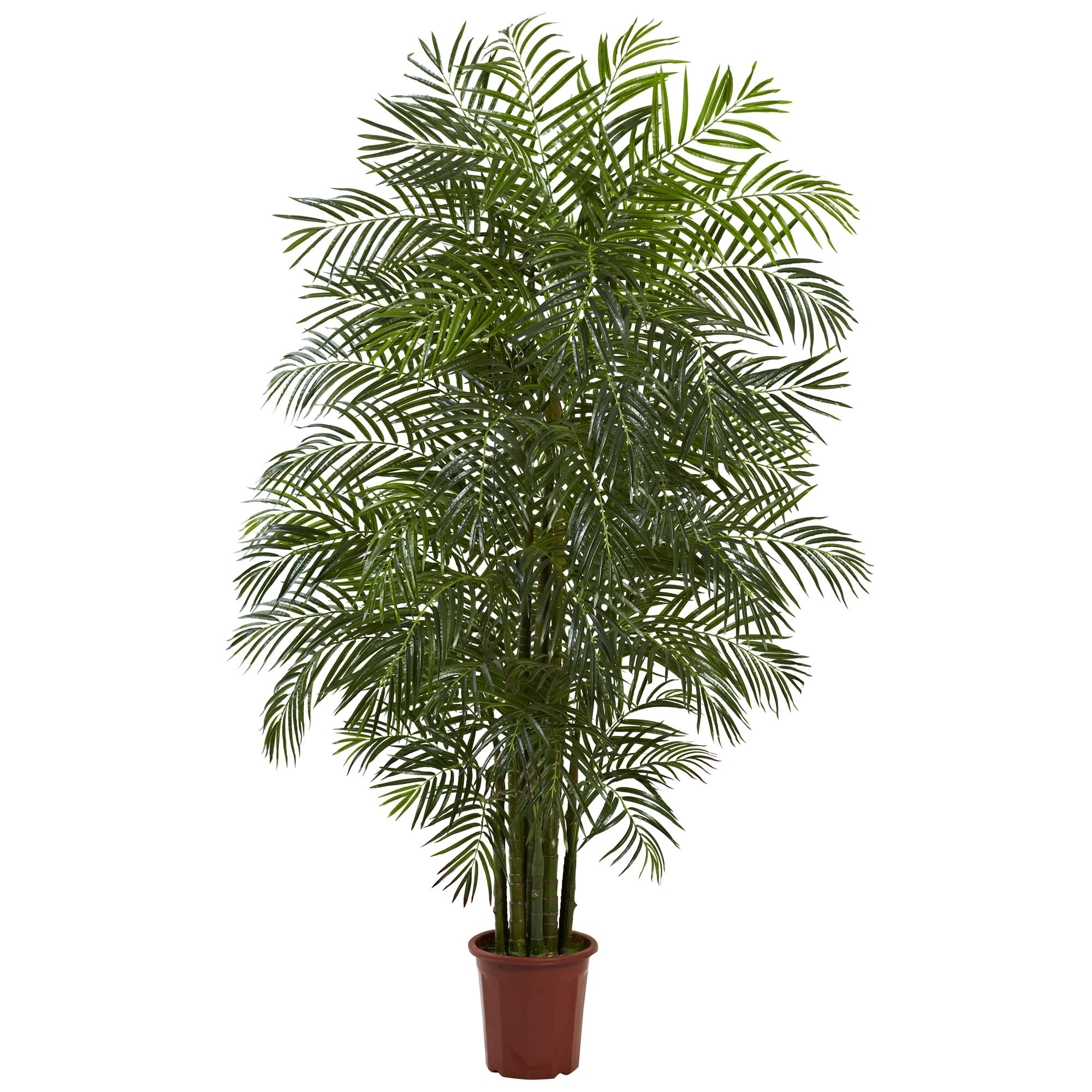 7.5' Areca Palm with 1966 Lvs UV Resistant (Indoor/Outdoor)