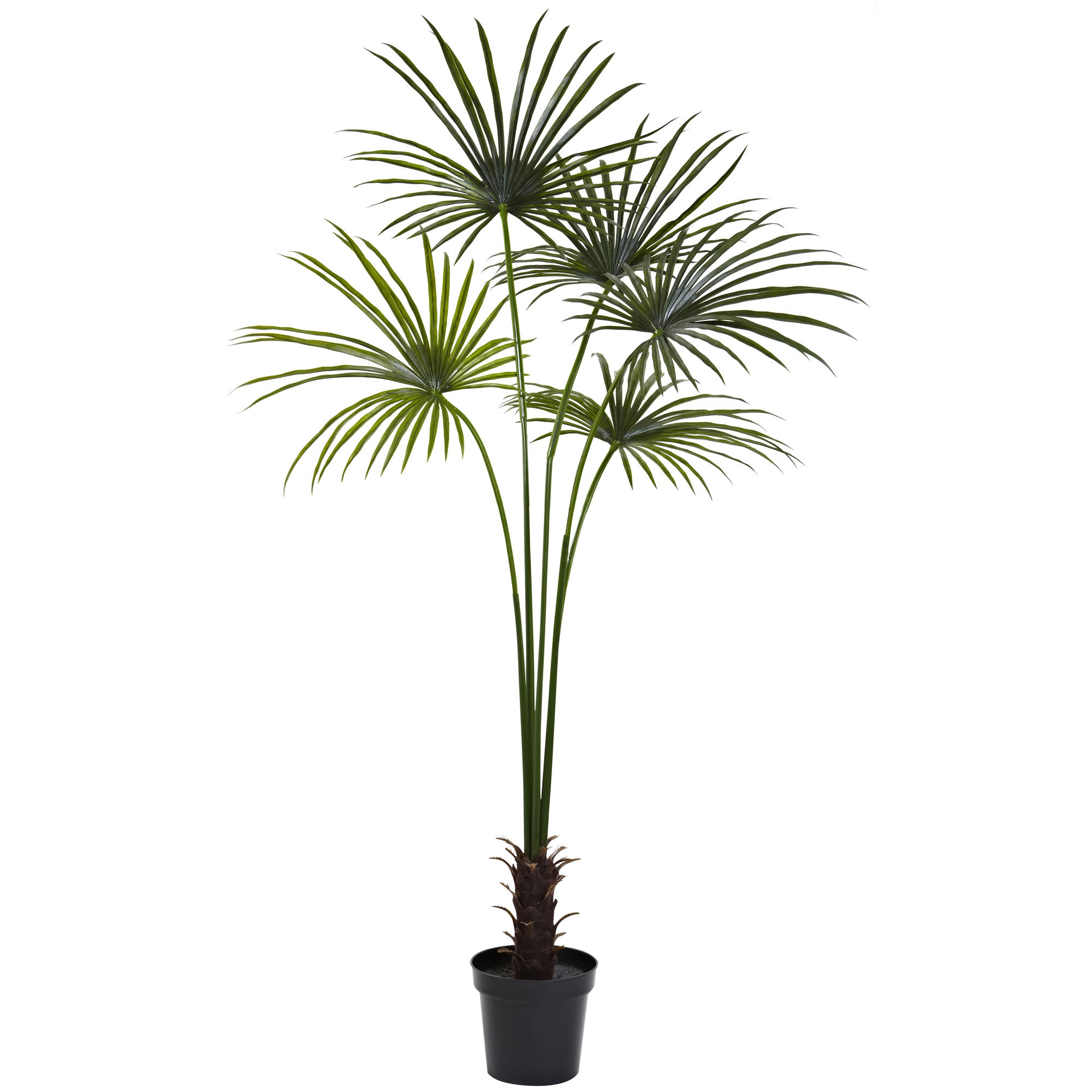 7" Fan Palm Tree UV Resistant (Indoor/Outdoor)