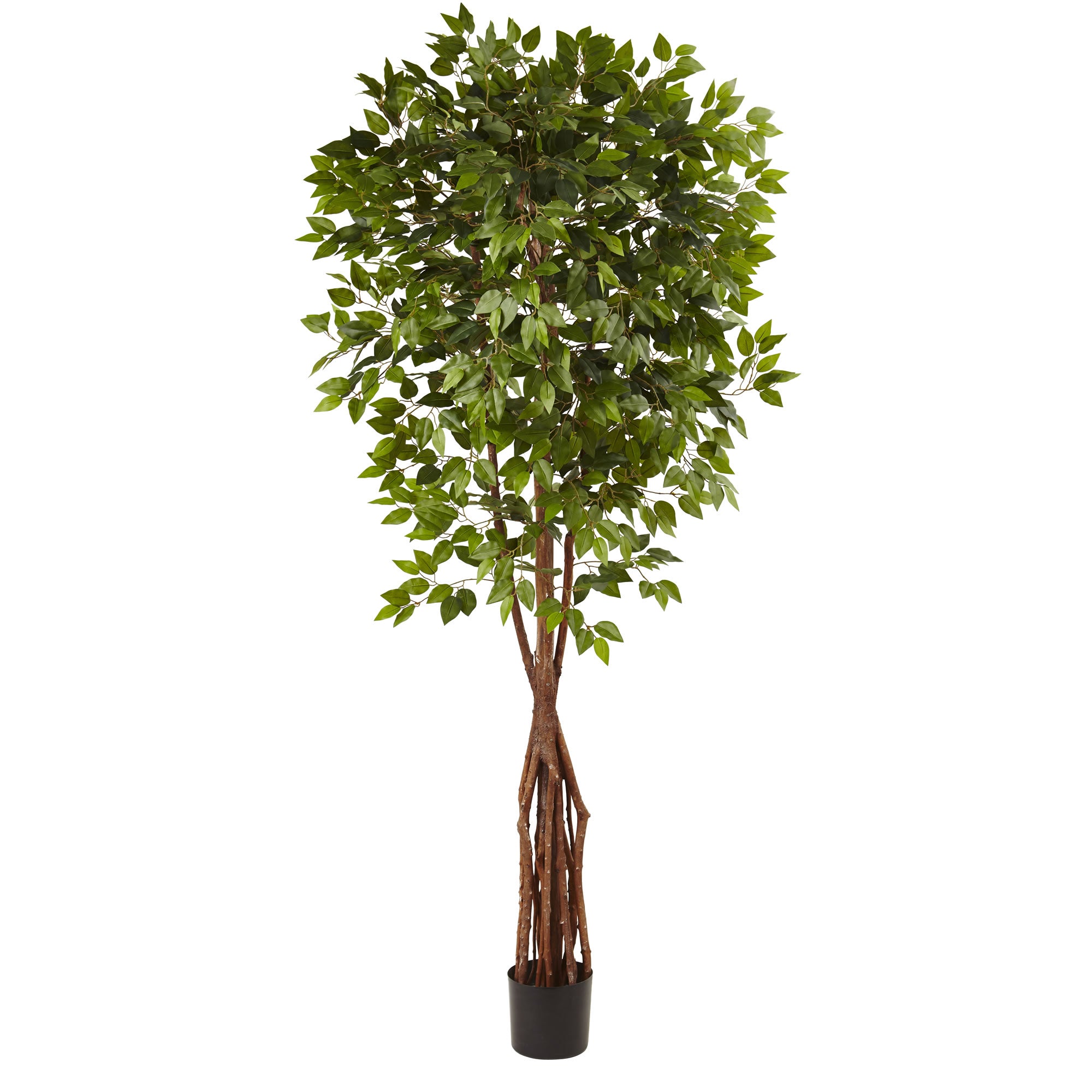 7.5" Super Deluxe Ficus Tree