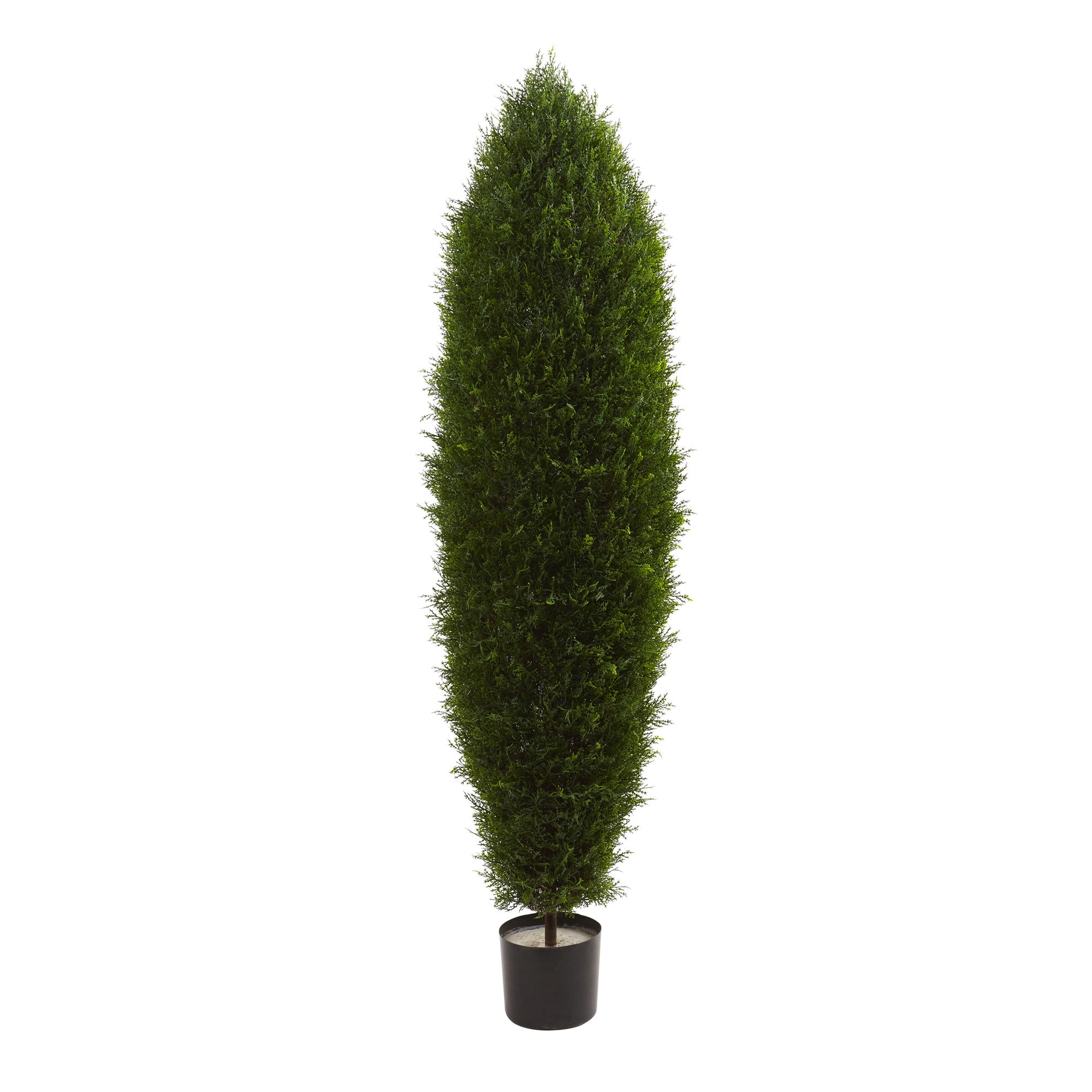 5" Cypress Tree UV Resistant (Indoor/Outdoor)