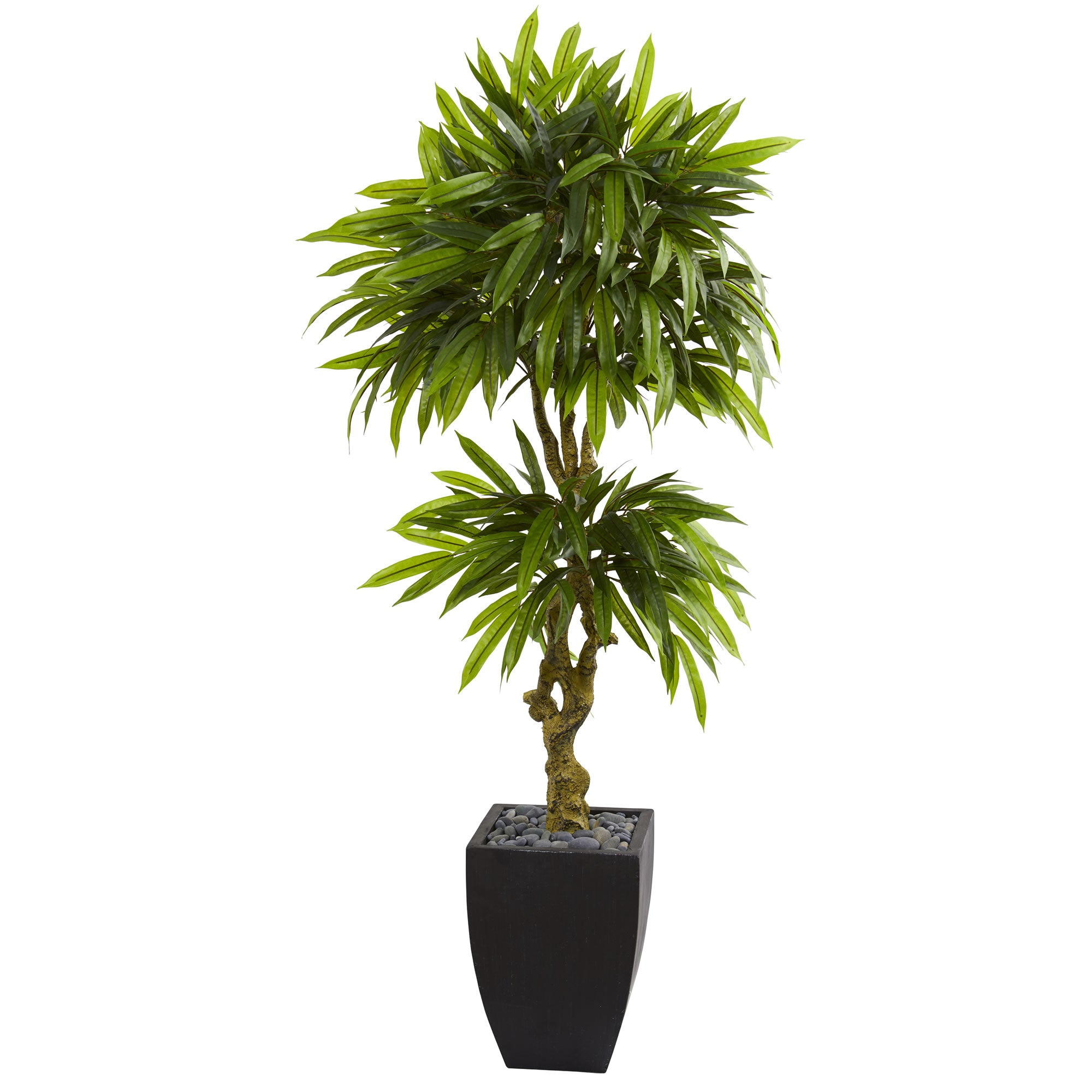 5.5" Mango Artificial Tree in Black Wash Planter UV Resistant (Indoor/Outdoor)