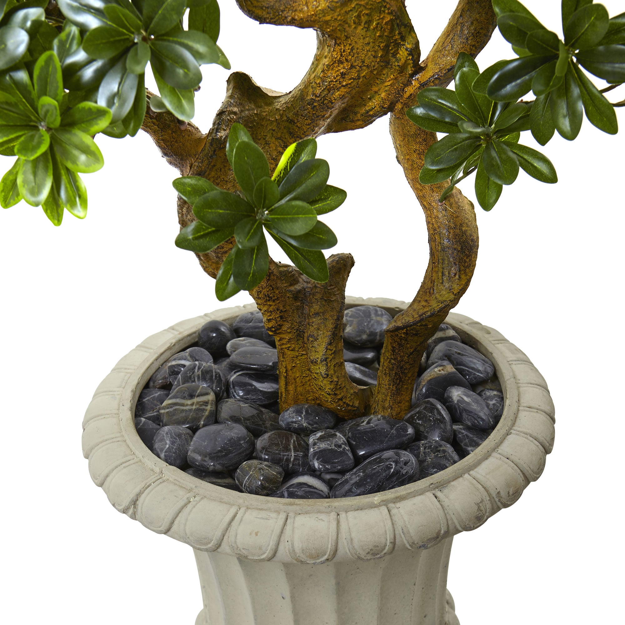 6" Pittosporum Artificial Tree in Urn UV Resistant (Indoor/Outdoor)